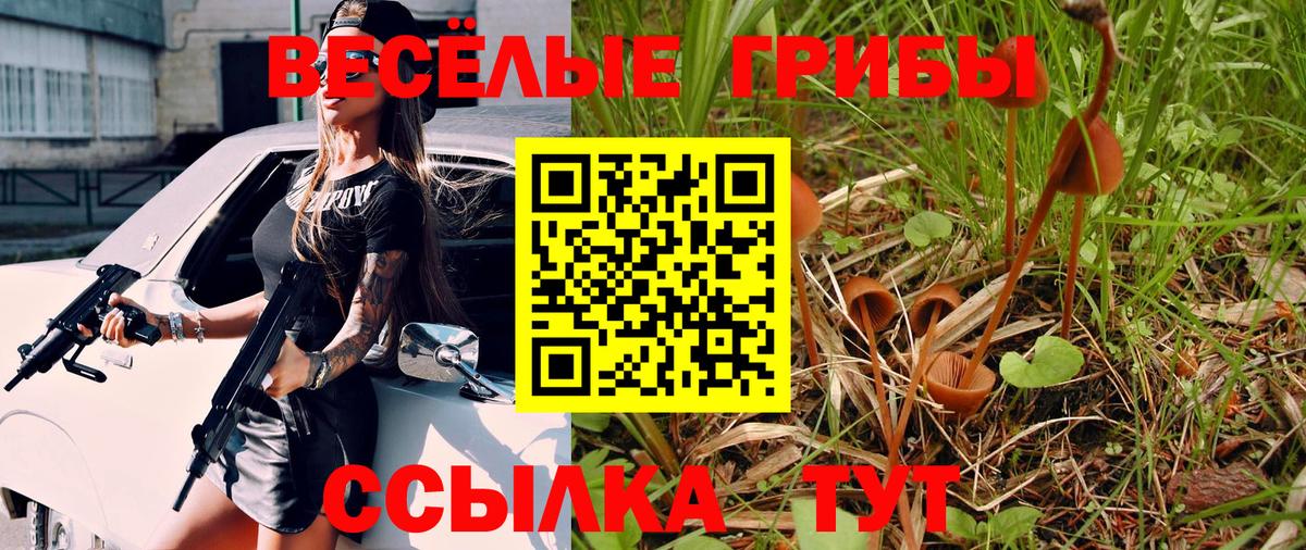 Галлюциногенные грибы GOLDEN TEACHER Георгиевск